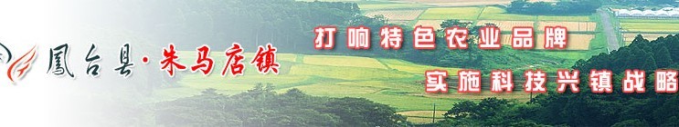 ̨